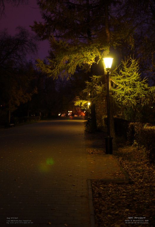 Image 365Project_Day357.jpeg