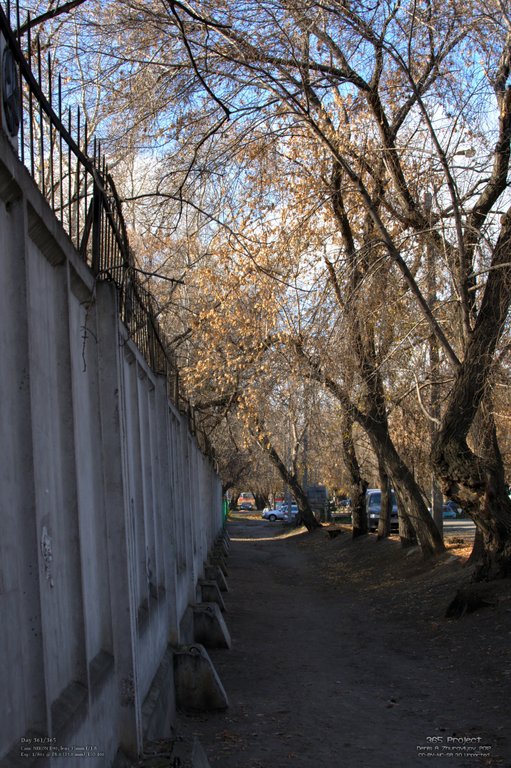 Image 365Project_Day361.jpeg