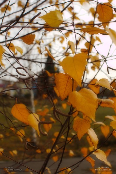 Image 365Project_Day362.jpeg