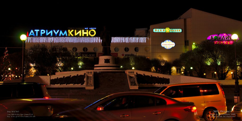 Image 365Project_Day363.jpeg