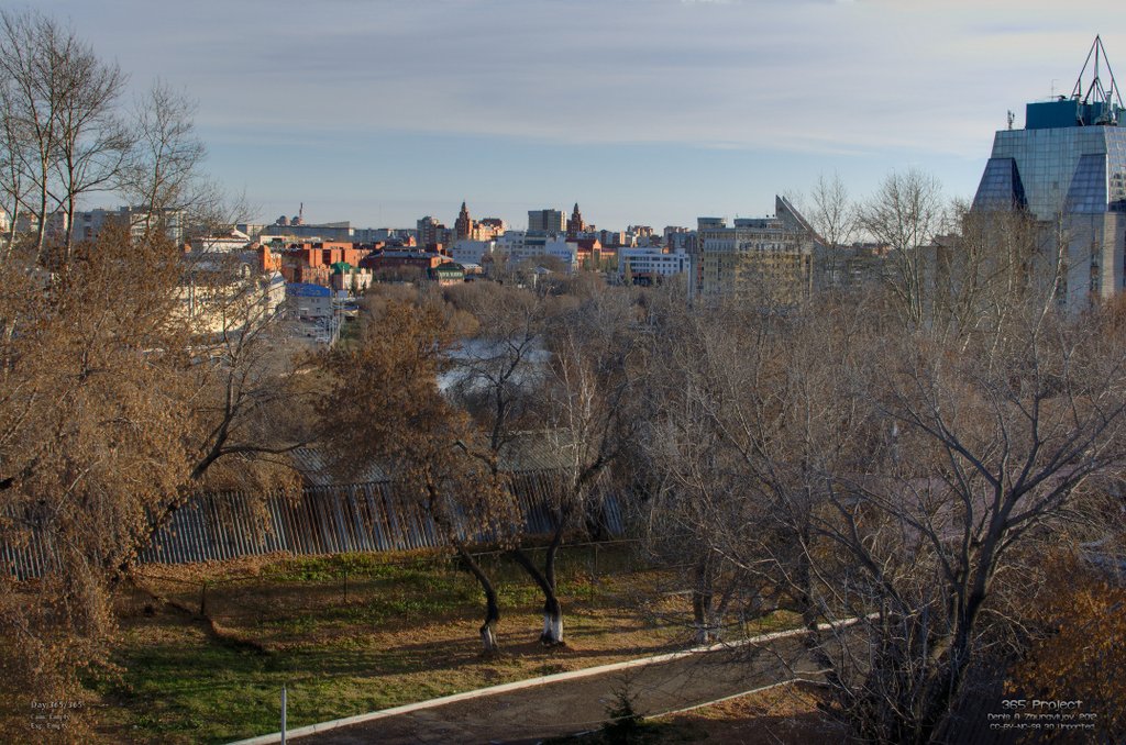 Image 365Project_Day365.jpeg