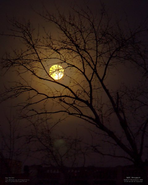 Image 365Project_Day366.jpeg