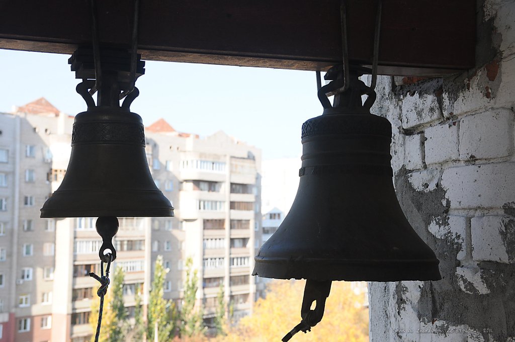 Image DSC_0101_ready.jpg