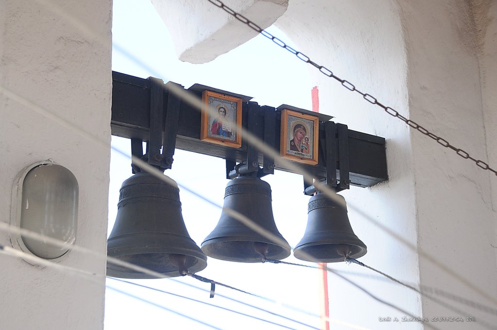 Image DSC_0230_ready.jpg