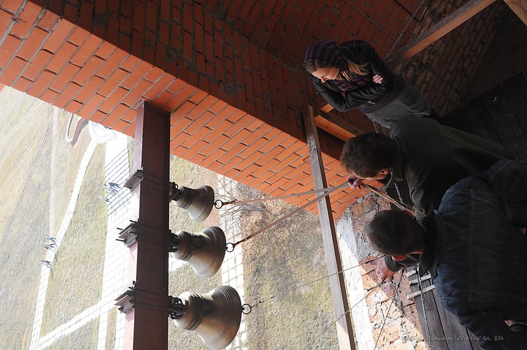 Image DSC_0141_ready.jpg