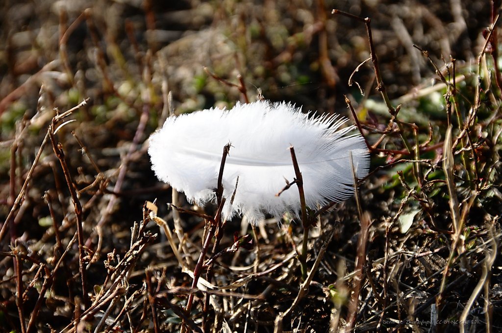 Image DSC_0163_ready.jpg