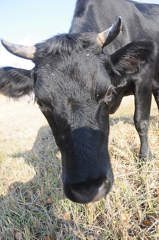 Image DSC_0174_ready.jpg