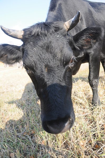 Image DSC_0174_ready.jpg