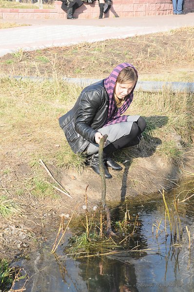 Image DSC_0176_ready.jpg