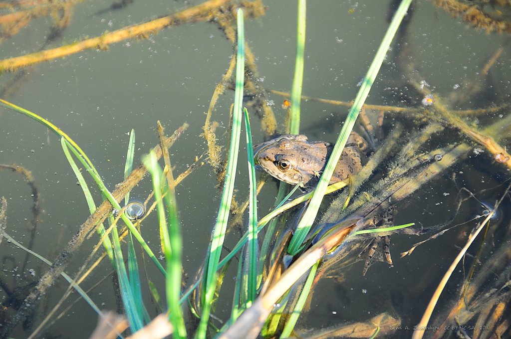 Image DSC_0180_ready.jpg