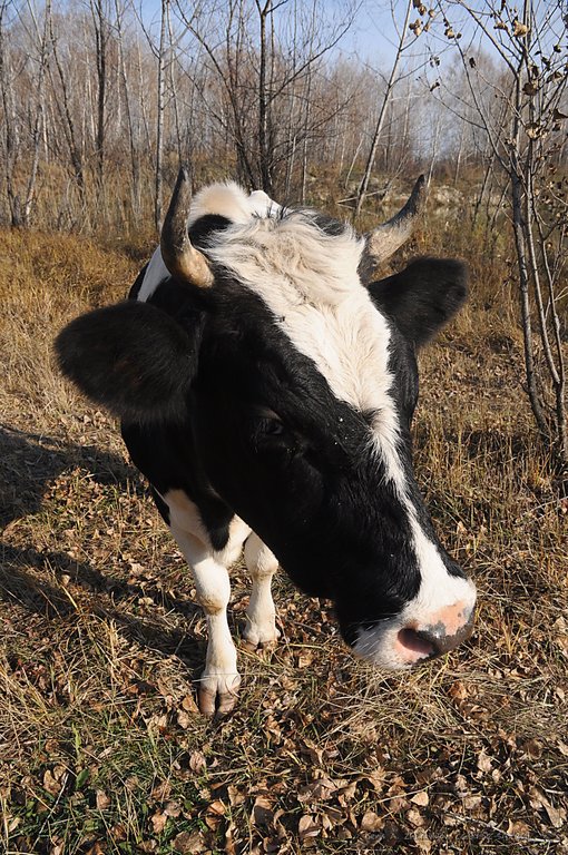 Image DSC_0187_ready.jpg