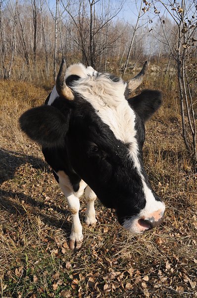 Image DSC_0187_ready.jpg