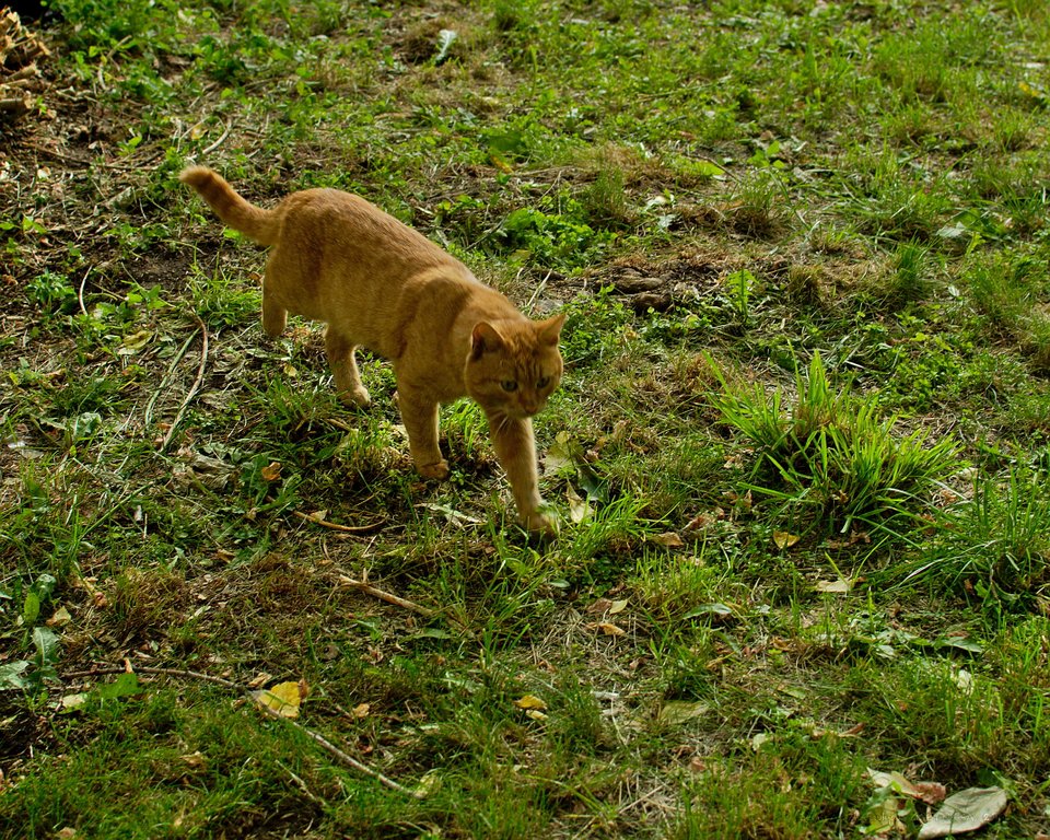 Image DSC_0990_ready.jpg