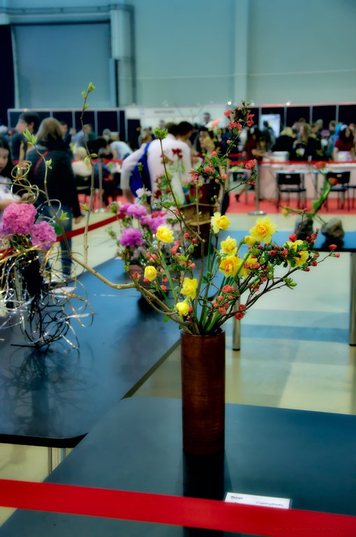 Image DSC_0142_ready.jpg