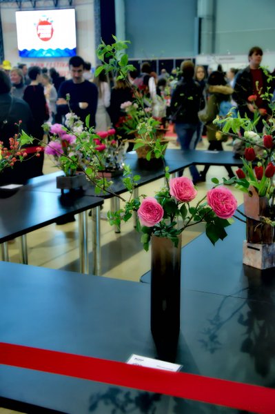 Image DSC_0143_ready.jpg