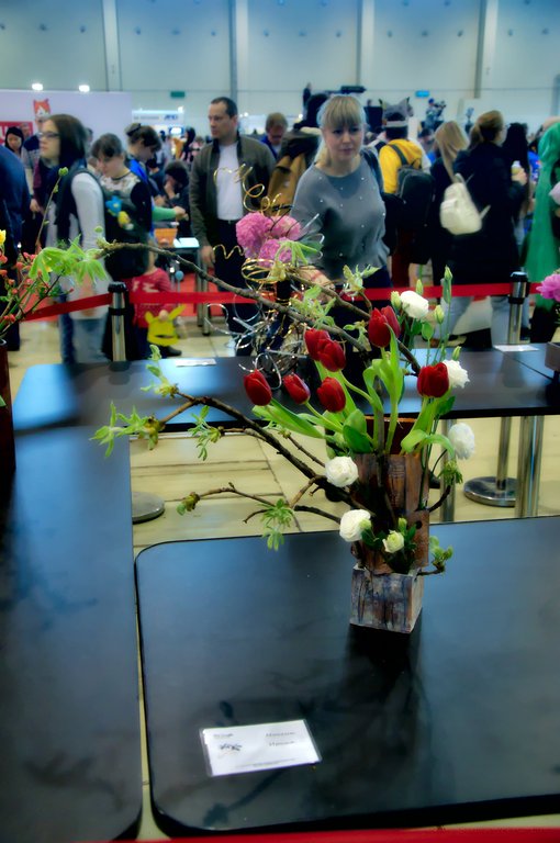 Image DSC_0144_ready.jpg