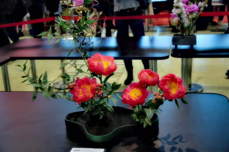 Image DSC_0145_ready.jpg