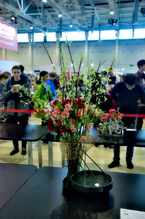 Image DSC_0146_ready.jpg