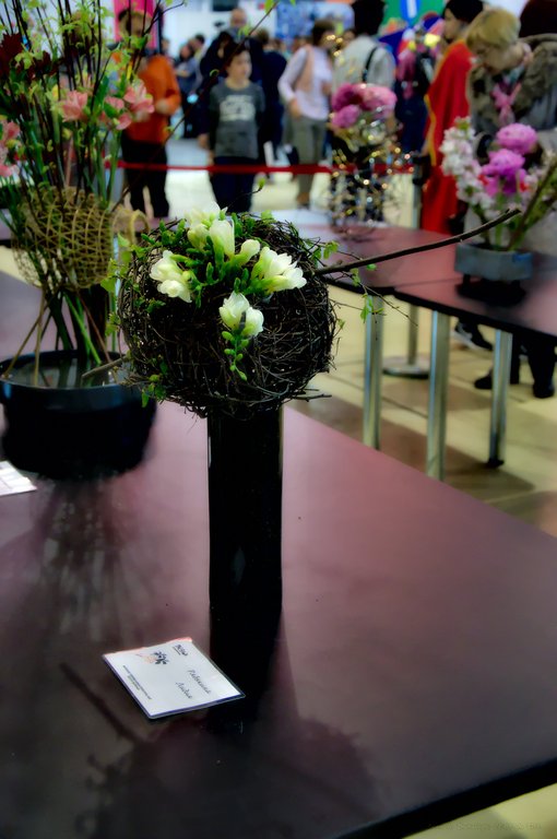 Image DSC_0147_ready.jpg