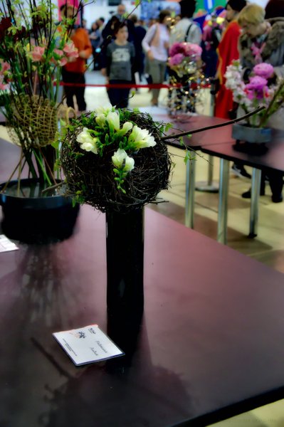 Image DSC_0147_ready.jpg