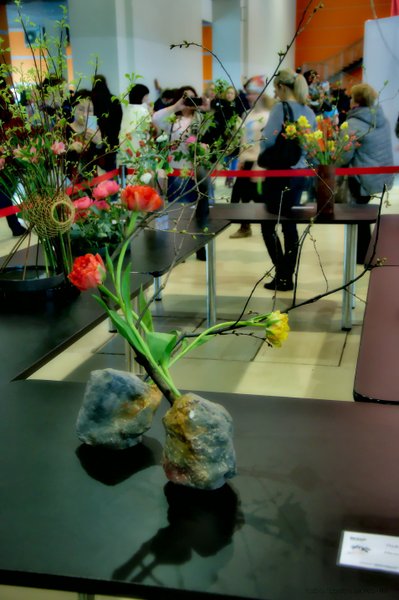 Image DSC_0148_ready.jpg