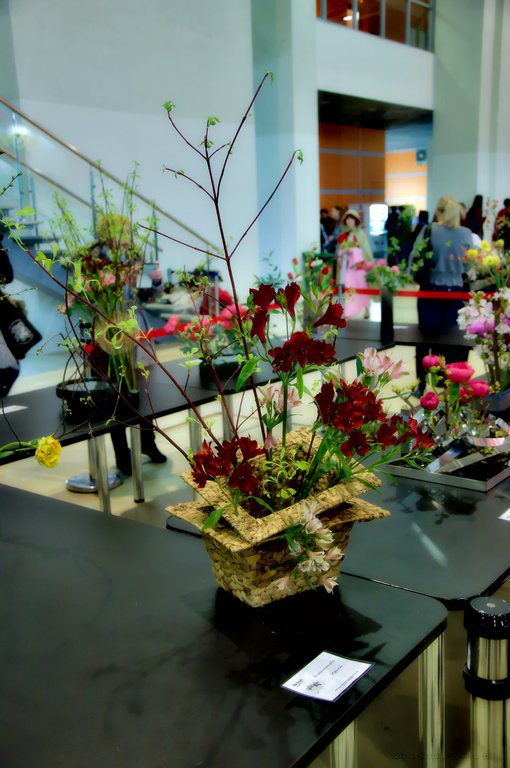 Image DSC_0149_ready.jpg