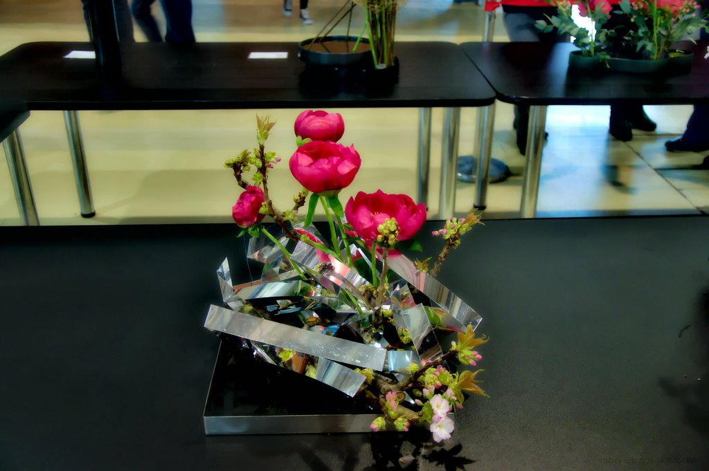 Image DSC_0152_ready.jpg