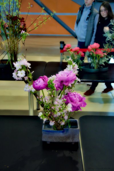 Image DSC_0153_ready.jpg