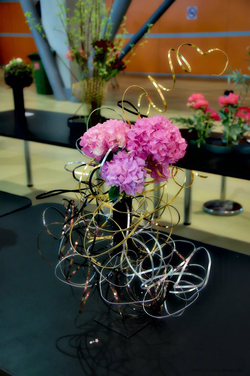 Image DSC_0154_ready.jpg