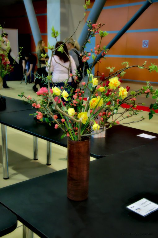 Image DSC_0155_ready.jpg