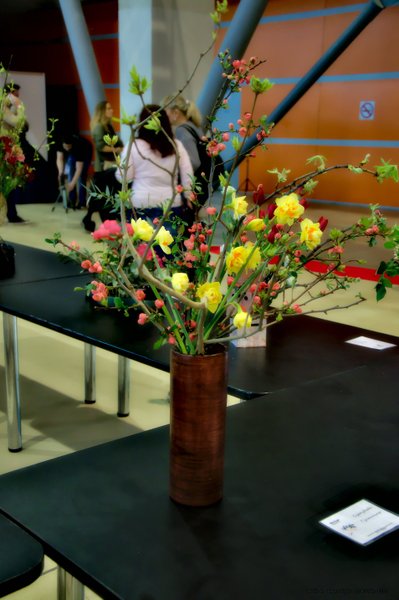 Image DSC_0155_ready.jpg