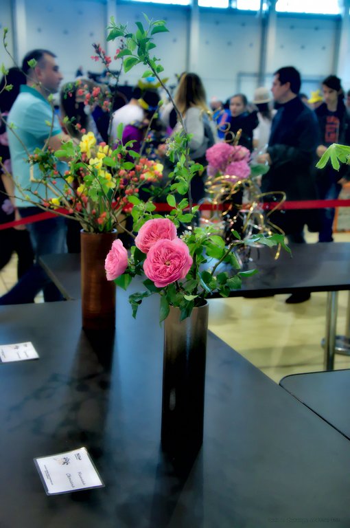 Image DSC_0156_ready.jpg