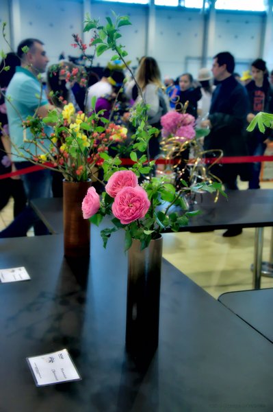 Image DSC_0156_ready.jpg