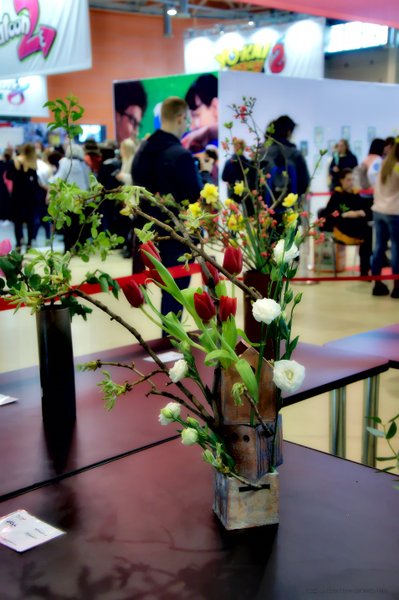 Image DSC_0157_ready.jpg