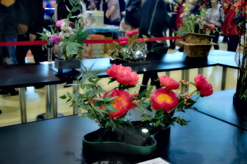 Image DSC_0158_ready.jpg