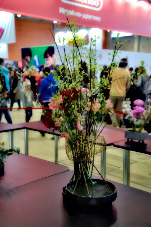 Image DSC_0159_ready.jpg