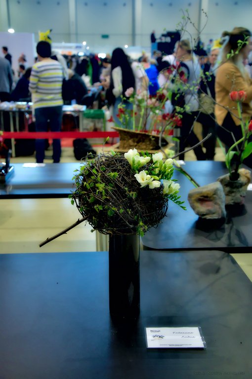 Image DSC_0160_ready.jpg