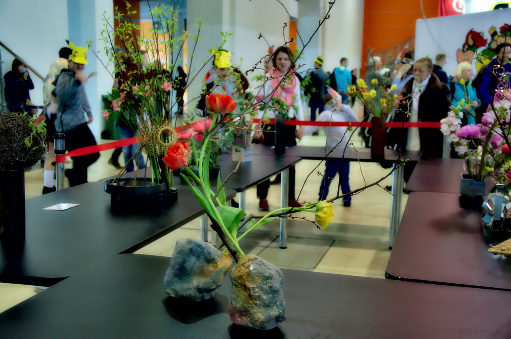 Image DSC_0161_ready.jpg