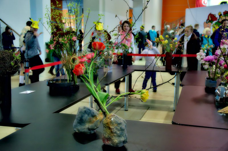 Image DSC_0161_ready.jpg