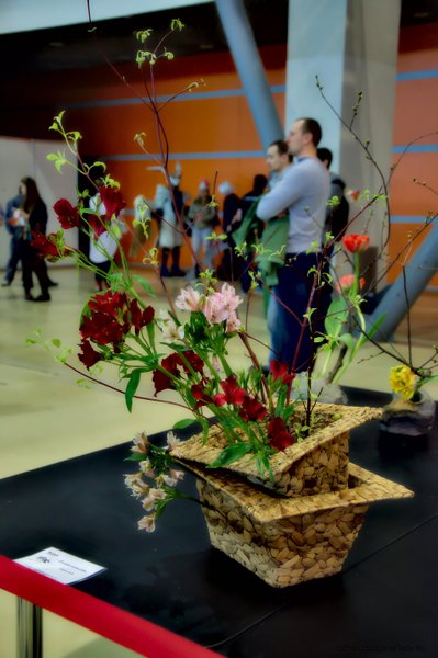 Image DSC_0162_ready.jpg