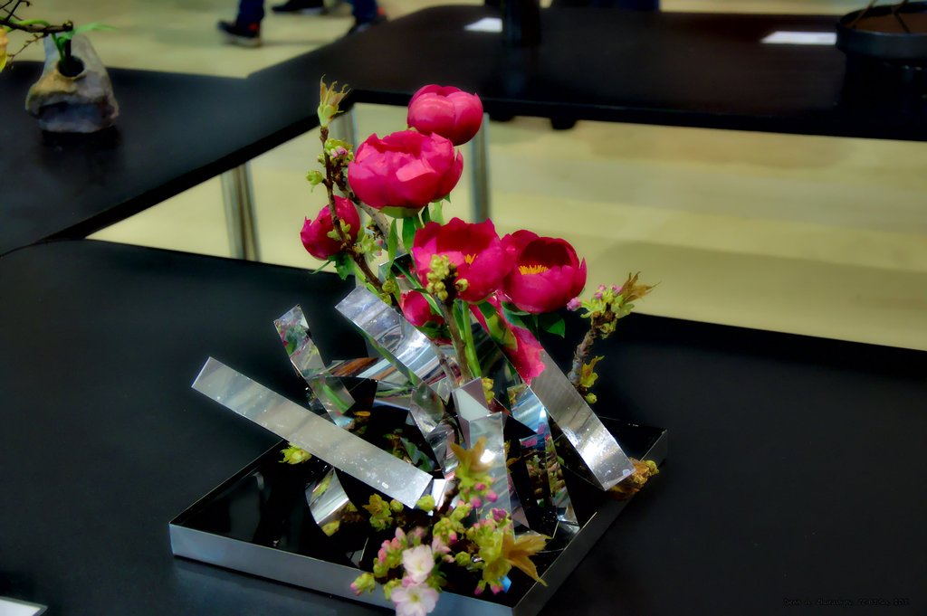 Image DSC_0163_ready.jpg