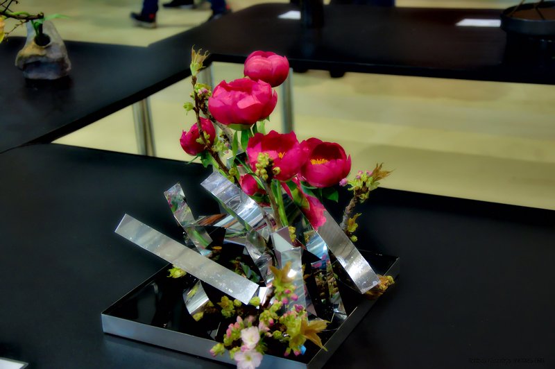 Image DSC_0163_ready.jpg