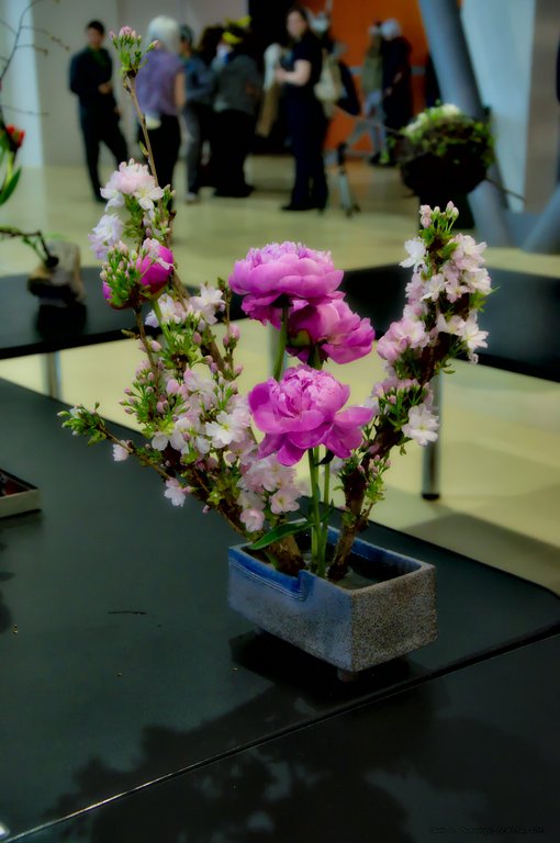 Image DSC_0164_ready.jpg