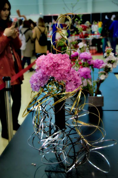 Image DSC_0165_ready.jpg