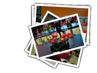 Hinode 2017 album picture