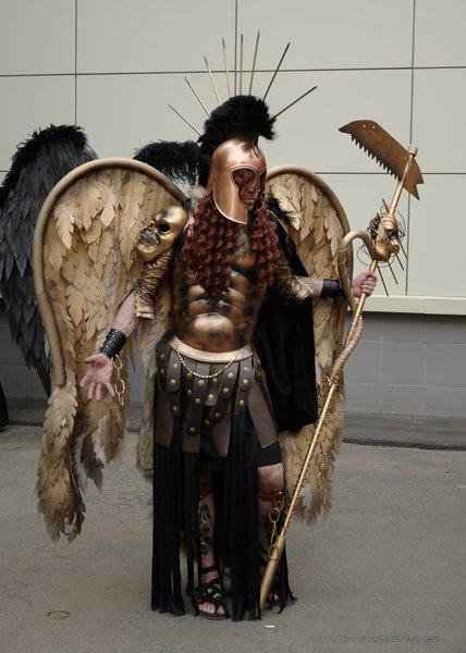 Image DSC_0806_ready.jpg