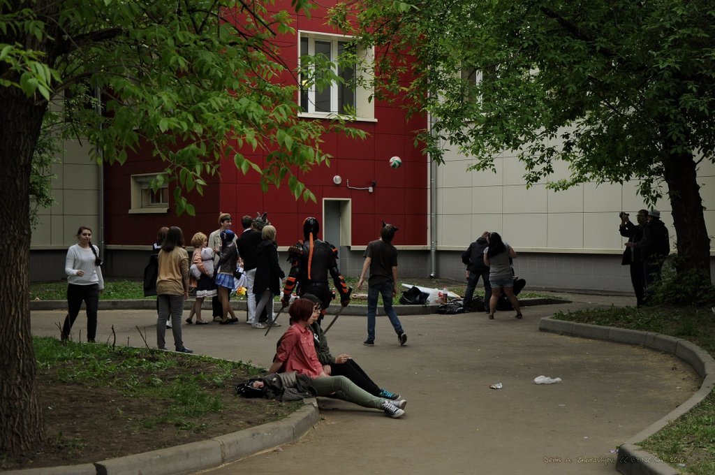 Image DSC_0814_ready.jpg