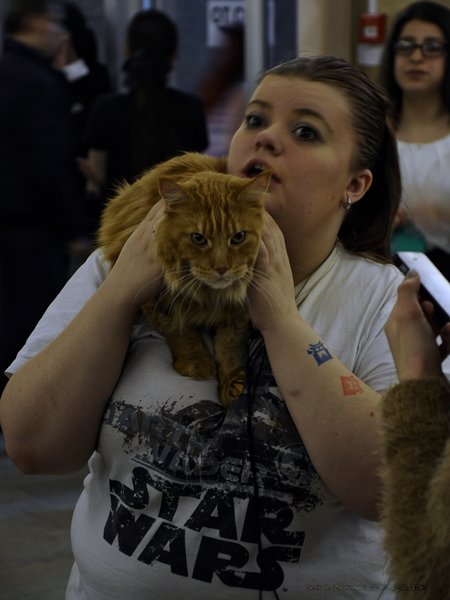 Image DSC_0830_ready.jpg