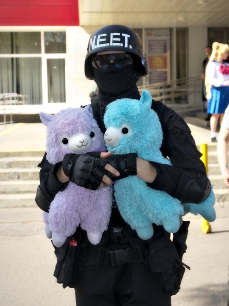 Image DSC_0413_ready.jpg