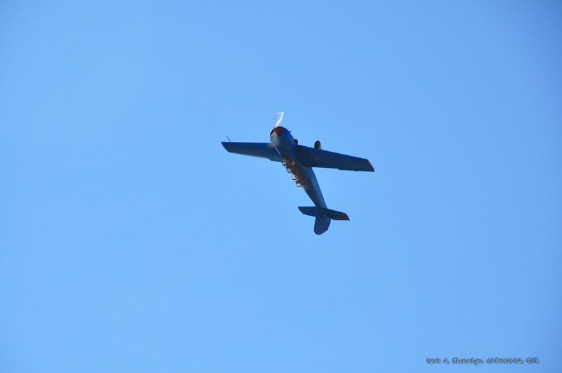 Image DSC_0386_ready.jpg